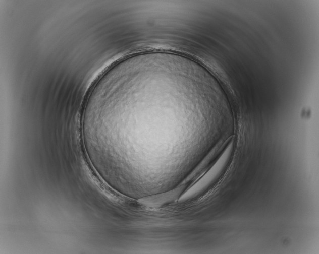 X0000113140798200909251303