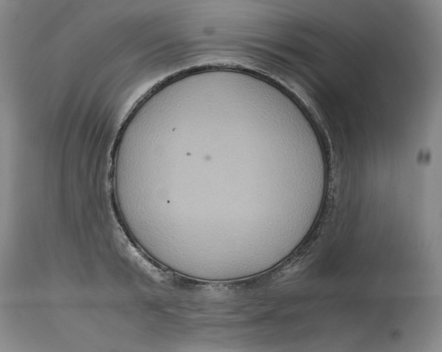 X0000113140799200909251303