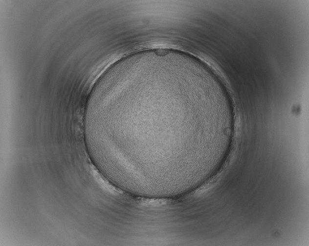 X0000113140801200909251303