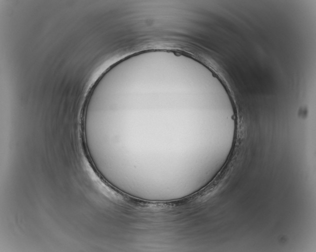 X0000113140803200909251303