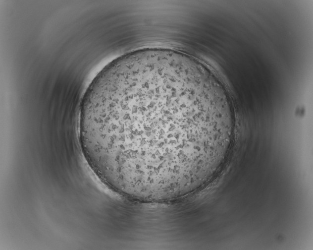 X0000113140804200909251303