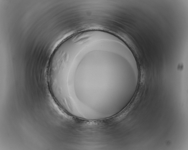 X0000113140806200909251303