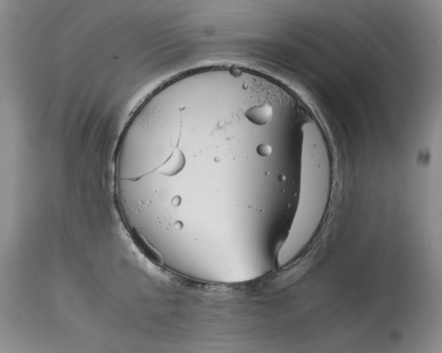 X0000113140807200909251303