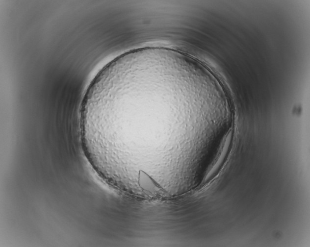 X0000113140808200909251303