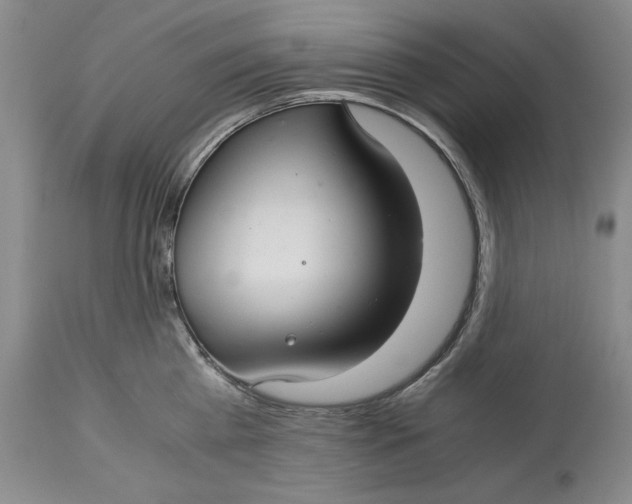 X0000113140809200909251303