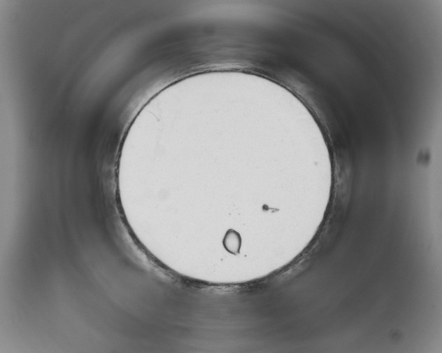 X0000113140810200909251303