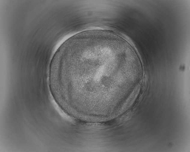 X0000113140811200909251303