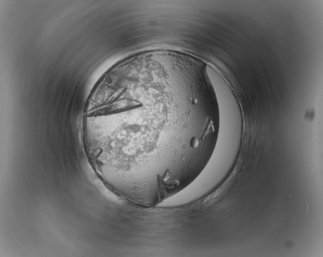 X0000113140812200909251303