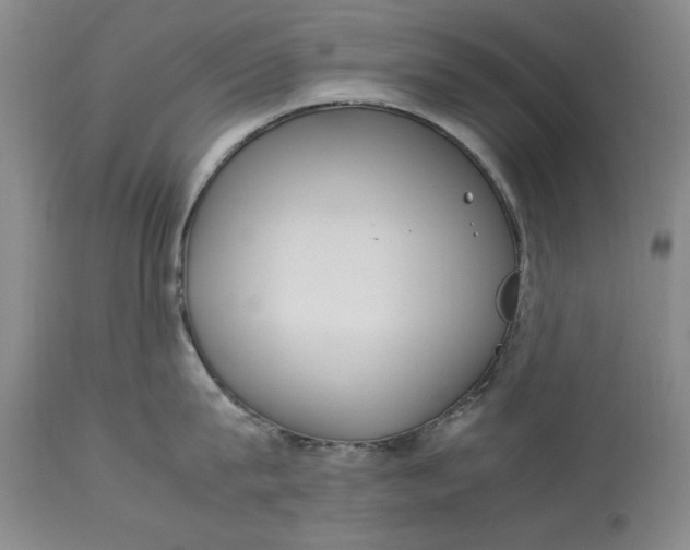 X0000113140815200909251303