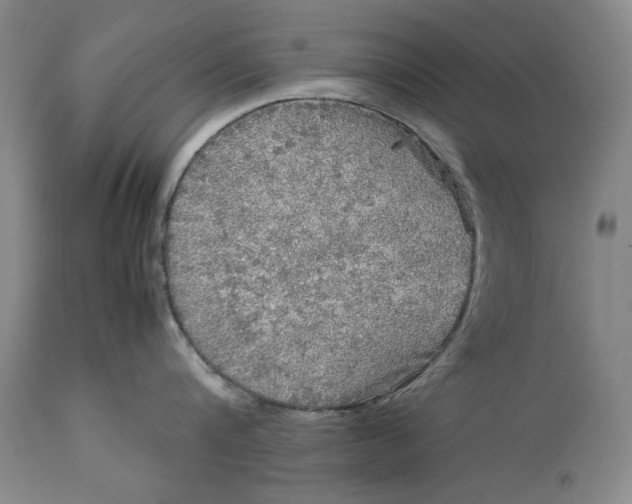 X0000113140816200909251303