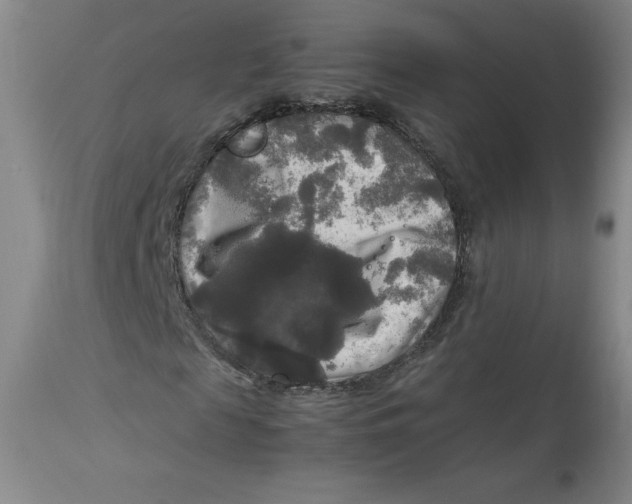 X0000113140817200909251302