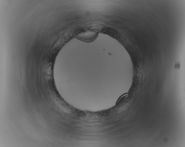 X0000113140818200909251302