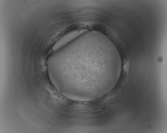 X0000113140819200909251302