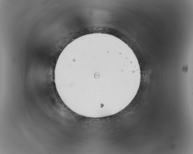 X0000113140820200909251302