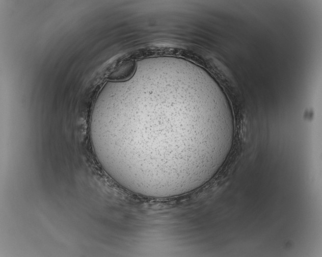 X0000113140821200909251302