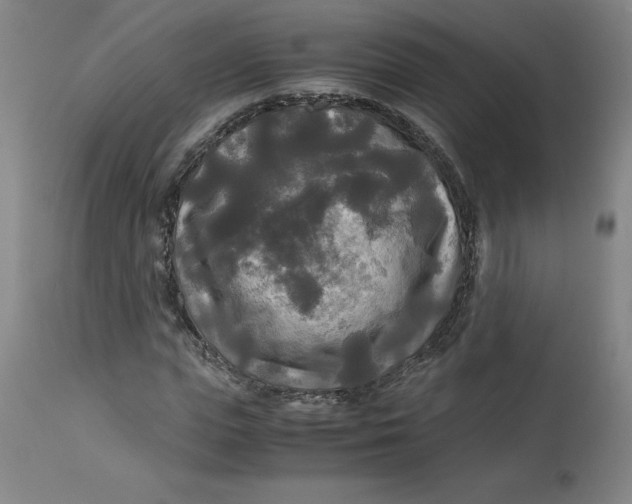 X0000113140823200909251302