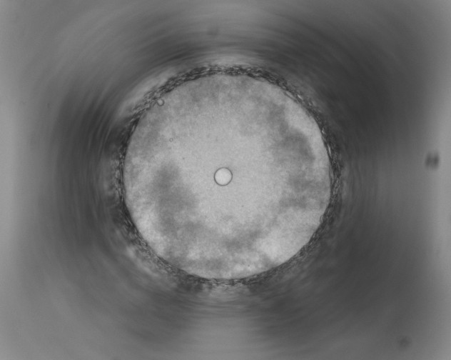 X0000113140824200909251302