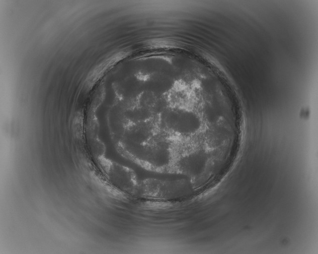 X0000113140825200909251302