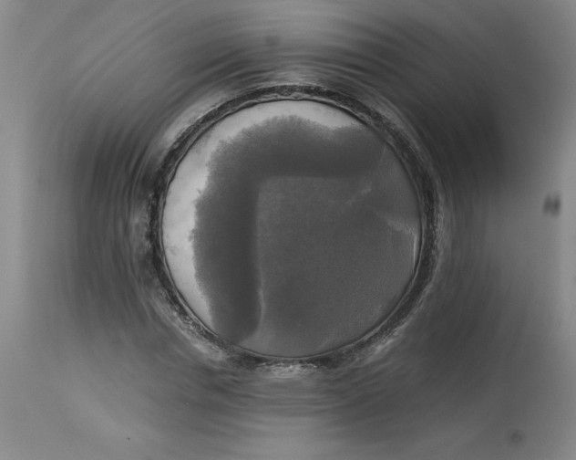 X0000113140826200909251302