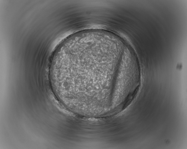 X0000113140827200909251302