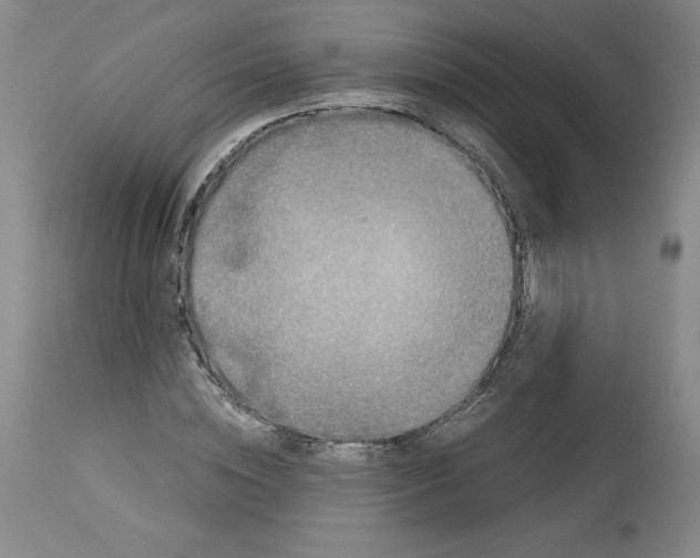 X0000113140828200909251302