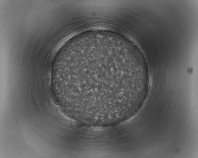 X0000113140829200909251302