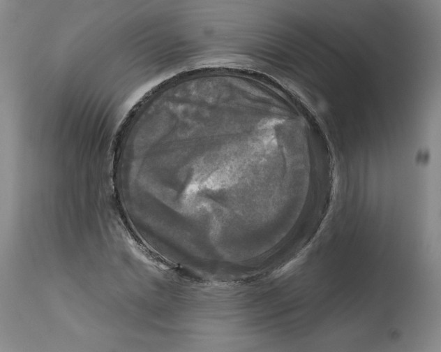 X0000113140830200909251302