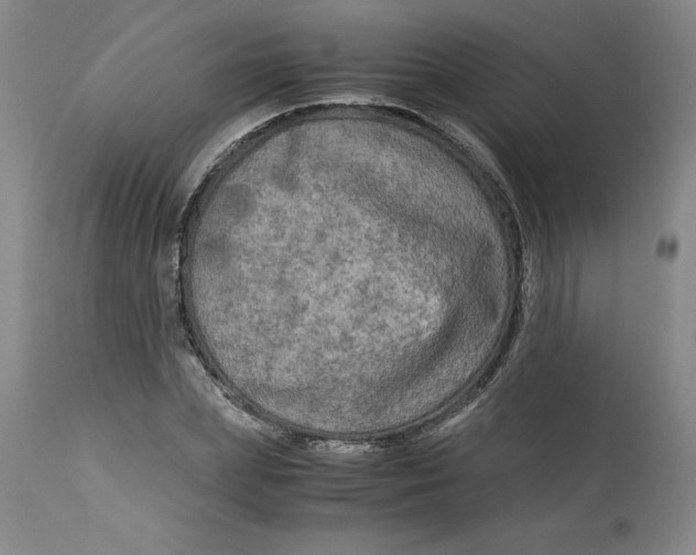 X0000113140831200909251302