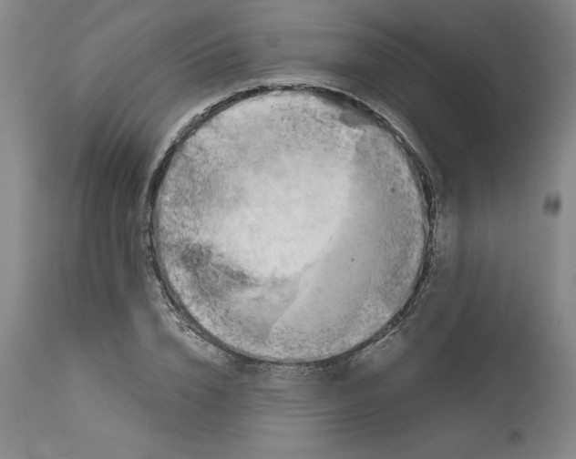 X0000113140832200909251302