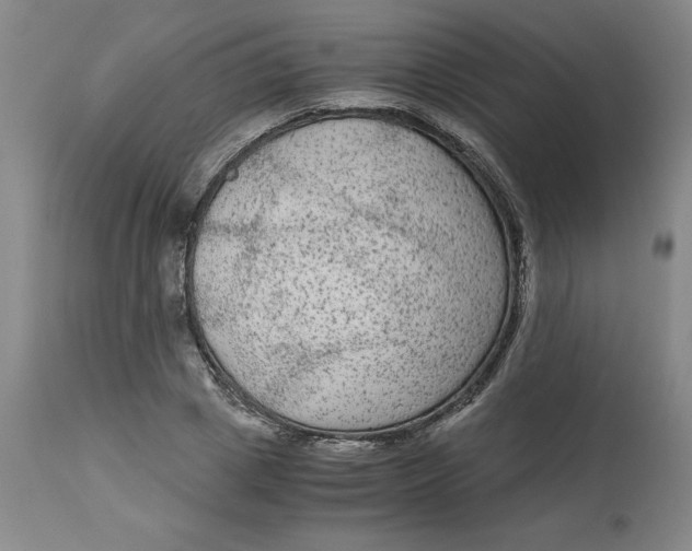 X0000113140833200909251302