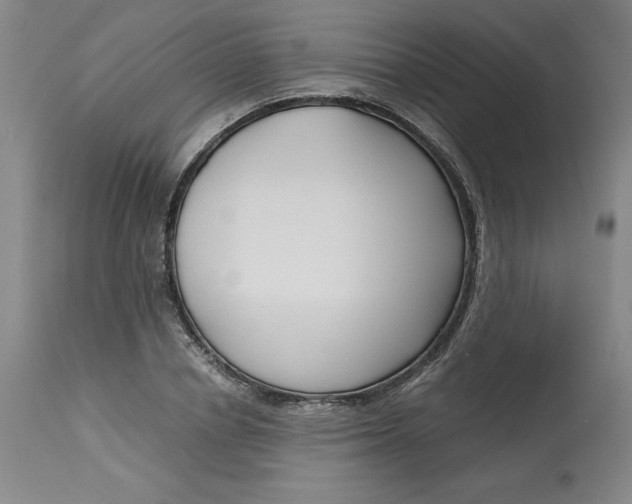 X0000113140834200909251302