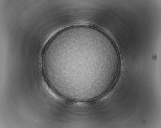 X0000113140835200909251302