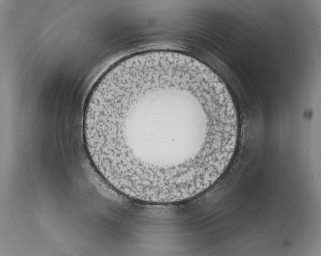 X0000113140836200909251302