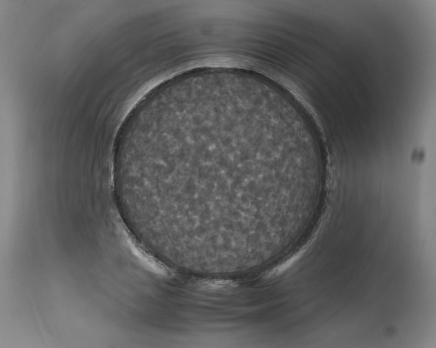 X0000113140837200909251302