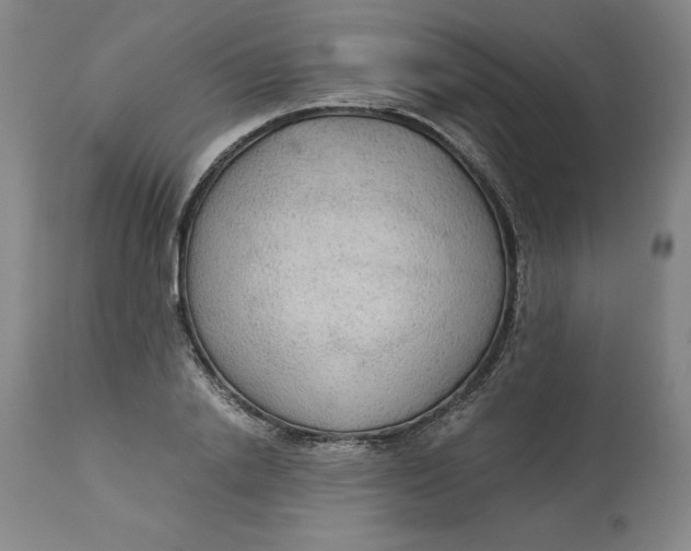 X0000113140838200909251302