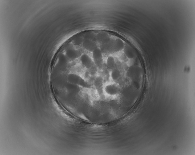 X0000113140839200909251302