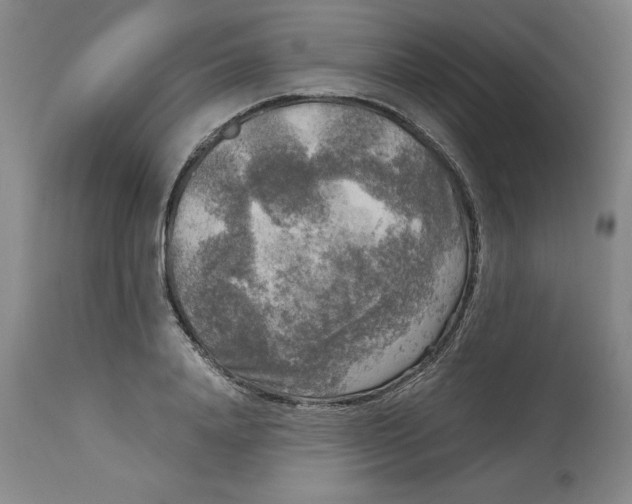 X0000113140840200909251302