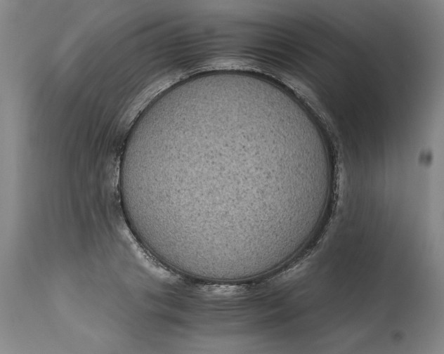 X0000113140841200909251302