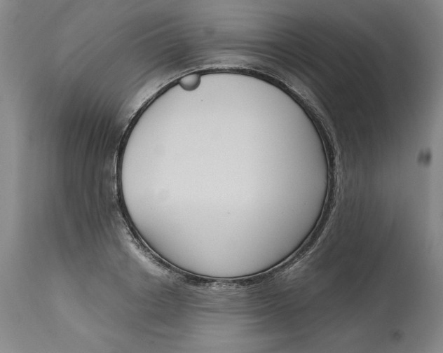 X0000113140842200909251302