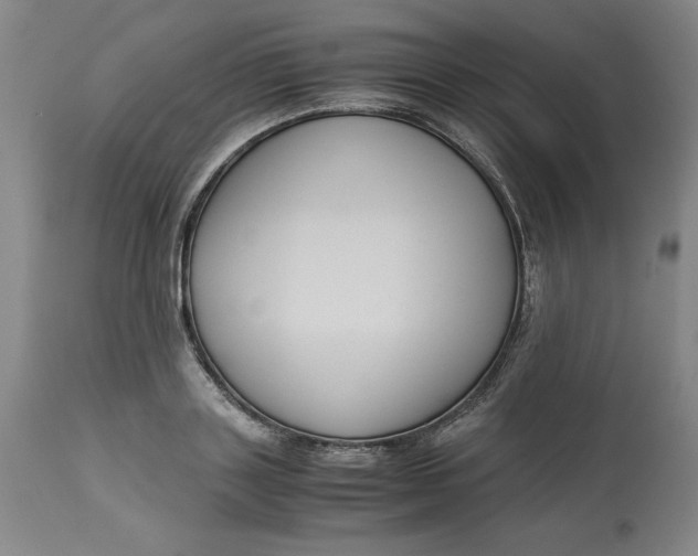 X0000113140843200909251302