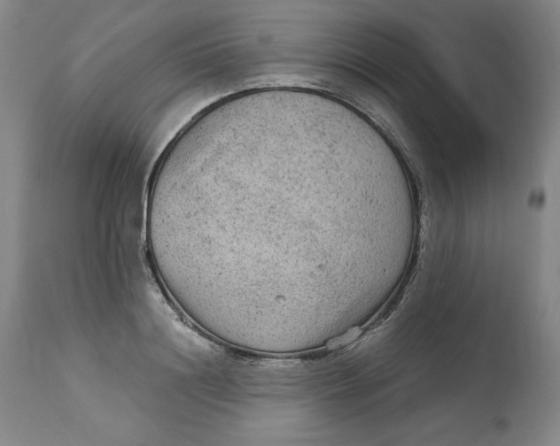 X0000113140844200909251302