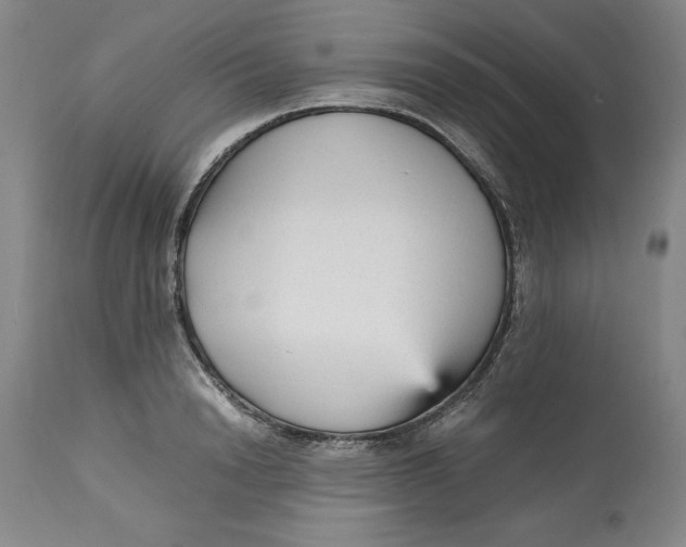 X0000113140846200909251302