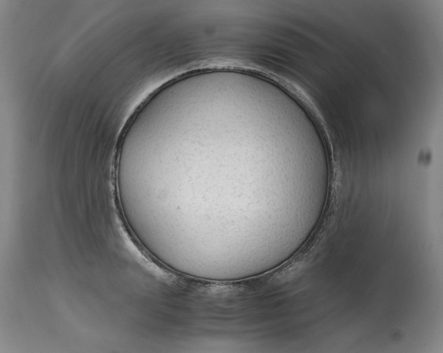 X0000113140847200909251302