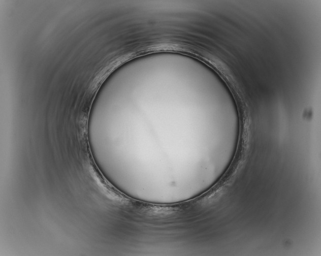 X0000113140849200909251302