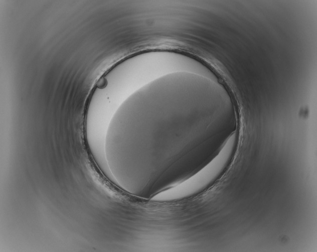 X0000113140850200909251302