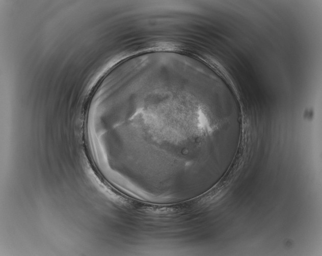 X0000113140851200909251302