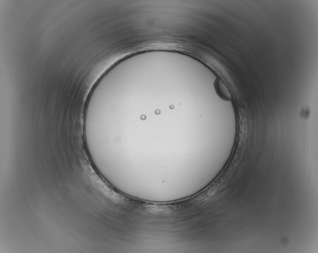 X0000113140852200909251302