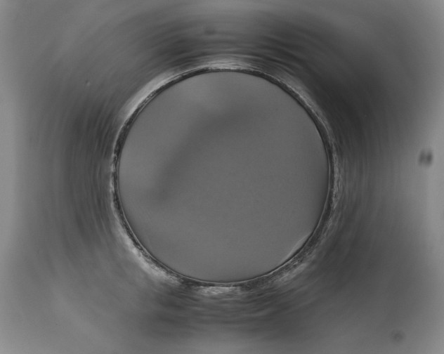 X0000113140853200909251302