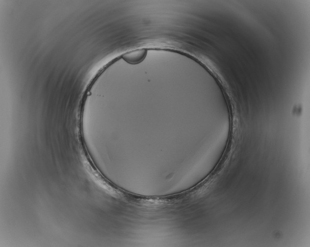 X0000113140854200909251302