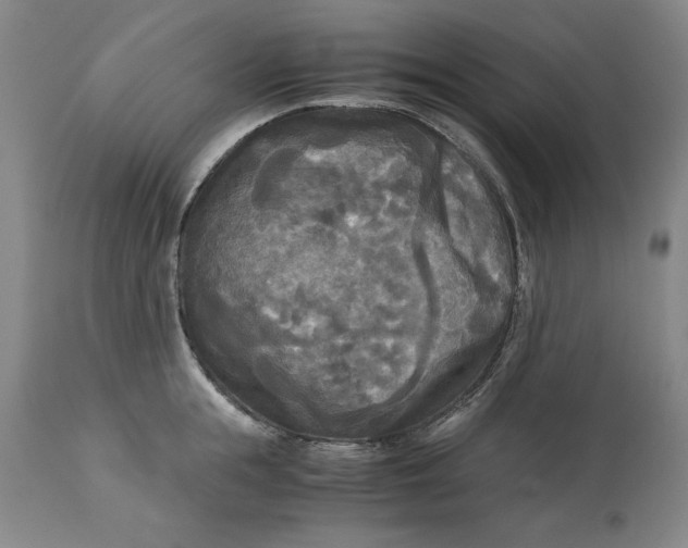 X0000113140855200909251302